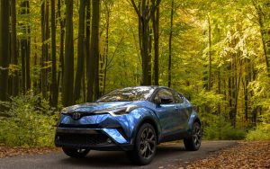 hybrid toyota in the forrest