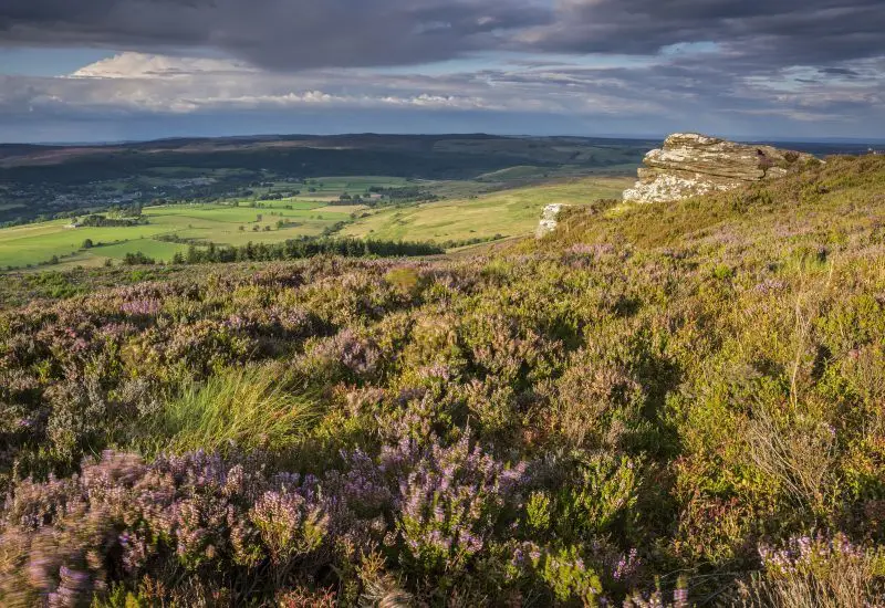 Simonside Hills and Cheviots