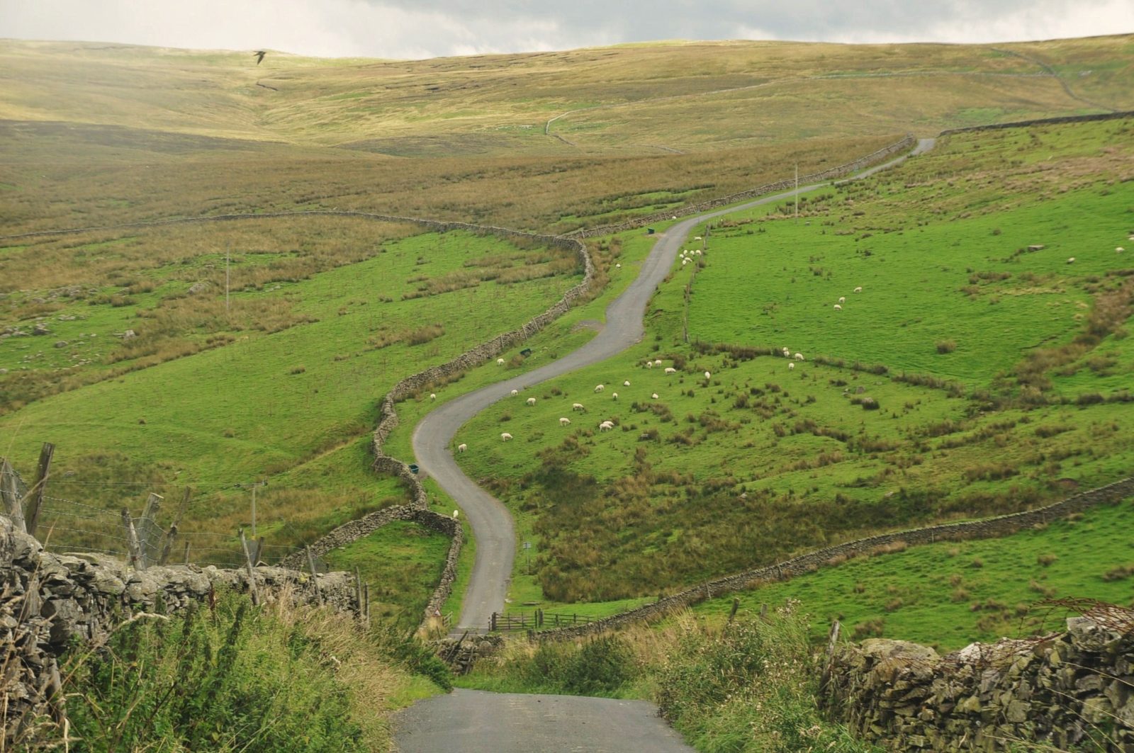 Cam Gill Road, Kettlewell